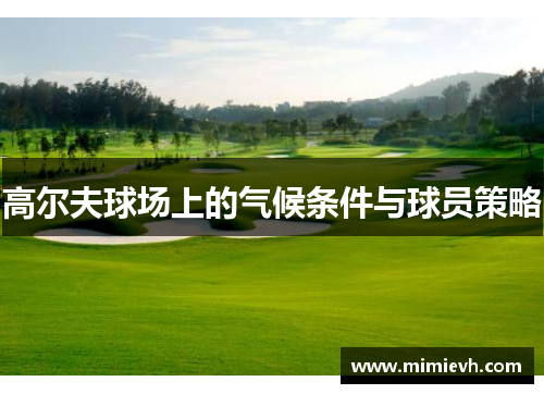 高尔夫球场上的气候条件与球员策略
